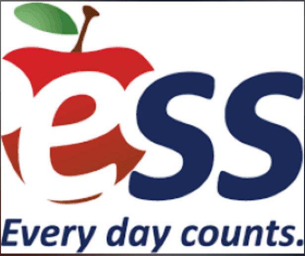 every day counts logo